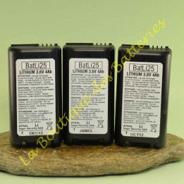 Batteries Batli 25 3,6v 4Ah d'origine Daitem Espace
