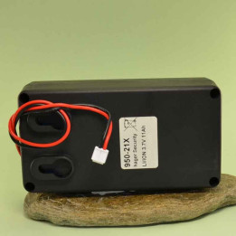 Gamma Primera DAITEM,Pila al litio ricaricabile 3,6 V / 11 Ah per TTView 330-23X