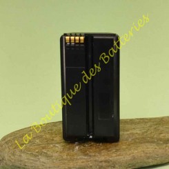Batterie Batli25 3,6v 4Ah Daitem DP8000