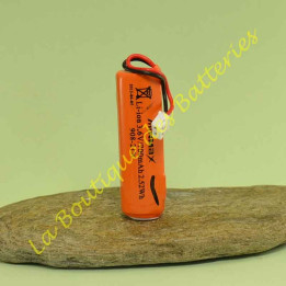 Batterie Lithium secondaire 908-21X 2Ah d'origine daitem