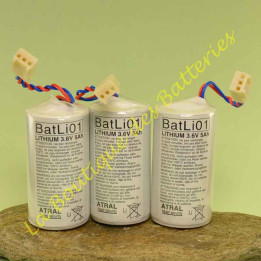 Batli 01: 3,6v , 5Ah
