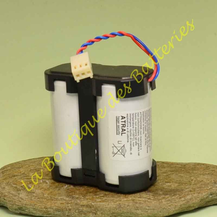 batli06 3.6v 5Ah, pile lithium pour gamme daitem DP1320X