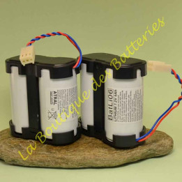 Offerta speciale di 2 Pila al Litio per allarme LOGISTY 2, batli06 per centrale di allarme L3303, L3305, L3310