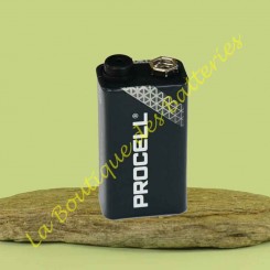 Pile Procell, Pile alcaline 9 volts 6LR61 alarme Diagral